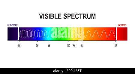 Lunghezza d'onda, onda visibile dello spettro luminoso dalla frequenza ultravioletta a quella infrarossa. Infografiche fisiche ed elettromagnetiche vettoriali con grafico gradiente colori arcobaleno o diagramma della luce visibile dell'occhio umano Illustrazione Vettoriale