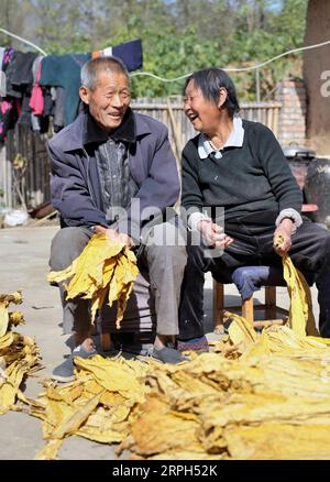 191030 -- LUONING, 30 ottobre 2019 -- Dong Shiyan L lavora con sua moglie a casa nel villaggio di Duhe nella contea di Luoning, nella provincia di Henan, nella Cina centrale, 29 ottobre 2019. Dong Shiyan è un villaggio di 77 anni, la cui famiglia è stata identificata come una famiglia indigente nel maggio 2014. Invece di arrendersi, Dong compie sforzi per sviluppare l'agricoltura con il sostegno delle politiche governative. Ha gettato via le catene della miseria nel 2017. CHINA-HENAN-LUONING-RIDUZIONE DELLA POVERTÀ CN QIXWENJUAN PUBLICATIONXNOTXINXCHN Foto Stock