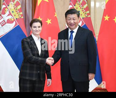 191104 -- SHANGHAI, 4 novembre 2019 -- il presidente cinese Xi Jinping incontra il primo ministro serbo Ana Brnabic, che è qui per il secondo China International Import Expo CIIE, a Shanghai, Cina orientale, 4 novembre 2019. CIIECHINA-SHANGHAI-XI JINPING-SERBIAN PM-MEETING CN XIEXHUANCHI PUBLICATIONXNOTXINXCHN Foto Stock
