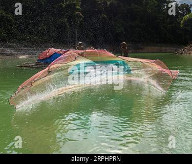 Lancia la rete da pesca al lago di Pedu situato nello stato di Kedah in Malesia Foto Stock