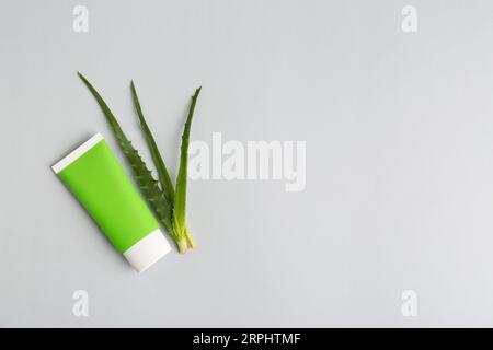 Tubo di dentifricio e aloe fresco su sfondo grigio chiaro, spianato. Spazio per il testo Foto Stock