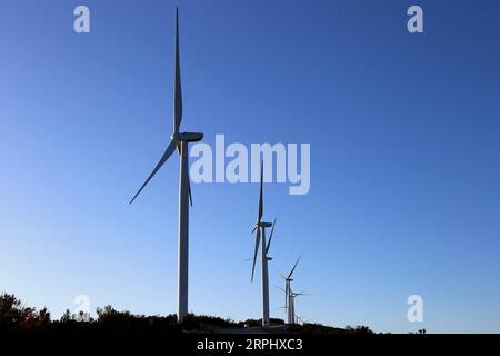 191119 -- ULCINJ, 19 novembre 2019 -- foto scattata il 18 novembre 2019 mostrano una vista del parco eolico di Mozura nel Montenegro meridionale. Il Mozura Wind Park nel Montenegro meridionale, costruito da un consorzio della Shanghai Electric Power Company SEP e del fornitore di energia statale di Malta Enemalta, è stato inaugurato lunedì. MONTENEGRO-ULCINJ-CINA-PARCO DEL VENTO-INAUGURAZIONE SHIXZHONGYU PUBLICATIONXNOTXINXCHN Foto Stock