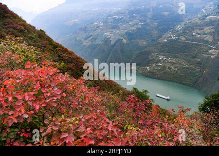 191123 -- CHONGQING, 23 novembre 2019 -- Una nave naviga attraverso la gola di Wuxia, una delle tre gole sul fiume Yangtze, nella contea di Wushan, nel comune di Chongqing della Cina sud-occidentale, 23 novembre 2019. CHINA-CHONGQING-WUXIA GORGE-PAESAGGIO INVERNALE CN WANGXQUANCHAO PUBLICATIONXNOTXINXCHN Foto Stock