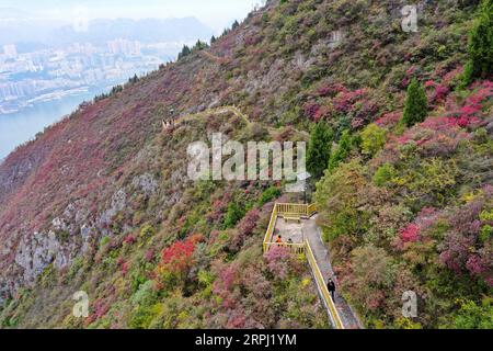 191123 -- CHONGQING, 23 novembre 2019 -- i turisti visitano l'area panoramica di Wenfeng lungo la gola di Wuxia, una delle tre gole sul fiume Yangtze, nella contea di Wushan, nella municipalità di Chongqing della Cina sud-occidentale, 23 novembre 2019. CHINA-CHONGQING-WUXIA GORGE-PAESAGGIO INVERNALE CN WANGXQUANCHAO PUBLICATIONXNOTXINXCHN Foto Stock