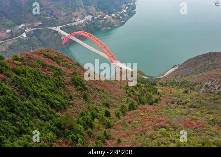 191123 -- CHONGQING, 23 novembre 2019 -- foto aerea scattata il 23 novembre 2019 mostra una vista della gola di Wuxia, una delle tre gole sul fiume Yangtze, nella contea di Wushan, nella municipalità di Chongqing della Cina sud-occidentale. CHINA-CHONGQING-WUXIA GORGE-PAESAGGIO INVERNALE CN WANGXQUANCHAO PUBLICATIONXNOTXINXCHN Foto Stock