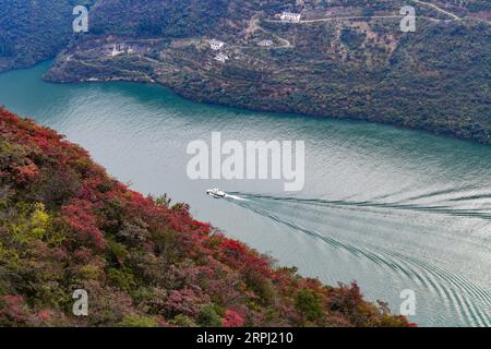 191123 -- CHONGQING, 23 novembre 2019 -- Una nave naviga attraverso la gola di Wuxia, una delle tre gole sul fiume Yangtze, nella contea di Wushan, nel comune di Chongqing della Cina sud-occidentale, 23 novembre 2019. CHINA-CHONGQING-WUXIA GORGE-PAESAGGIO INVERNALE CN WANGXQUANCHAO PUBLICATIONXNOTXINXCHN Foto Stock