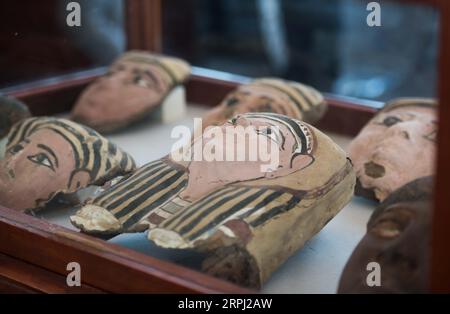 191123 -- GIZA EGYPT, 23 novembre 2019 -- foto scattata il 23 novembre 2019 mostra antichità scoperte di recente a Saqqara, provincia di Giza, Egitto. Il Ministero egiziano delle Antichità ha annunciato sabato la scoperta di dozzine di antiche mummie e statue di animali risalenti a circa 2.700 anni fa all'interno di una cache nella necropoli di Saqqara nella provincia di Giza vicino alla capitale il Cairo. EGYPT-GIZA-SAQQARA-ANIMALI MUMMIE E STATUE-DISCOVERY WUXHUIWO PUBLICATIONXNOTXINXCHN Foto Stock