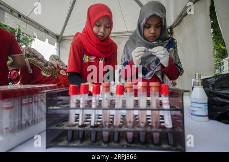 191130 -- BANDUNG, 30 novembre 2019 -- gli agenti sanitari controllano le provette con campioni di sangue durante un test del sangue HIV/AIDS come parte della campagna di sensibilizzazione pubblica in vista della giornata mondiale dell'AIDS a Bandung, Indonesia, 30 novembre 2019. Foto di /Xinhua INDONESIA-BANDUNG-WORLD AIDS DAY-CAMPAIGN Septianjar PUBLICATIONxNOTxINxCHN Foto Stock