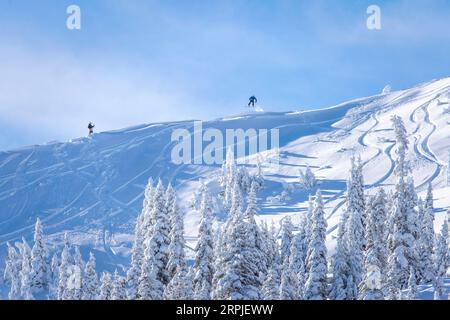 Snowboarder a Hurricane Ridge, Olympic National Park, Washington State, USA Foto Stock