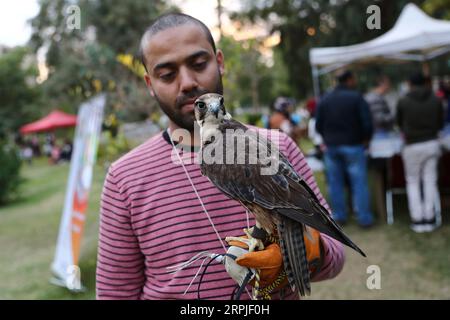 191207 -- CAIRO, 7 dicembre 2019 Xinhua -- Un uomo mostra un falco durante un carnevale al Cairo, in Egitto, il 6 dicembre 2019. Tenuto presso il giardino del Centro bambini del Cairo per la civiltà e la creatività, l'Aleef 4th Open Air Pets Carnival, iniziato venerdì, ha attirato migliaia di proprietari di animali domestici e amanti. Xinhua/Ahmed Gomaa EGITTO-CAIRO-PET CARNEVALE PUBLICATIONxNOTxINxCHN Foto Stock