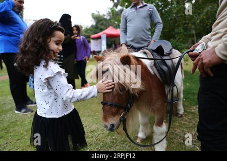 191207 -- CAIRO, 7 dicembre 2019 Xinhua -- Una ragazza tocca un cavallo domestico durante un carnevale al Cairo, in Egitto, il 6 dicembre 2019. Tenuto presso il giardino del Centro bambini del Cairo per la civiltà e la creatività, l'Aleef 4th Open Air Pets Carnival, iniziato venerdì, ha attirato migliaia di proprietari di animali domestici e amanti. Xinhua/Ahmed Gomaa EGITTO-CAIRO-PET CARNEVALE PUBLICATIONxNOTxINxCHN Foto Stock