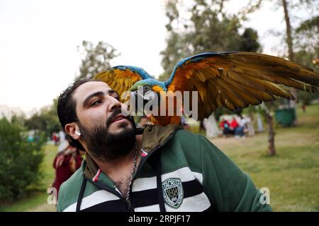 191207 -- CAIRO, 7 dicembre 2019 Xinhua -- Un pappagallo è visto durante un carnevale al Cairo, in Egitto, il 6 dicembre 2019. Tenuto presso il giardino del Centro bambini del Cairo per la civiltà e la creatività, l'Aleef 4th Open Air Pets Carnival, iniziato venerdì, ha attirato migliaia di proprietari di animali domestici e amanti. Xinhua/Ahmed Gomaa EGITTO-CAIRO-PET CARNEVALE PUBLICATIONxNOTxINxCHN Foto Stock