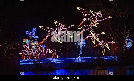 191222 -- ALBUQUERQUE U.S., 22 dicembre 2019 Xinhua -- foto scattata il 21 dicembre 2019 mostra installazioni illuminate durante il River of Lights all'ABQ BioPark Botanic Garden di Albuquerque, New Mexico, Stati Uniti. Lo spettacolo di luci annuale a piedi River of Lights, con milioni di luci scintillanti e quasi 600 scintillanti spettacoli di vacanze, si svolge qui durante il mese di dicembre. Foto di Richard Lakin/Xinhua U.S.-NEW MEXICO-ALBUQUERQUE-RIVER OF LIGHTS PUBLICATIONxNOTxINxCHN Foto Stock