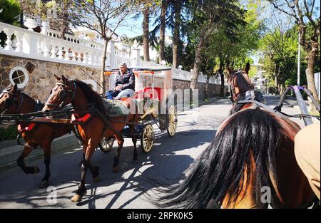 191223 -- ISTANBUL, 23 dicembre 2019 -- foto scattata il 21 aprile 2019 mostra una carrozza trainata da cavalli sulle Isole dei principi a Istanbul, in Turchia. Il sindaco di Istanbul ha annunciato il 23 dicembre che le carrozze trainate da cavalli sulle isole della città sarebbero state definitivamente vietate a seguito di una recente epidemia di morva. TURCHIA-ISTANBUL-CARROZZE TRAINATE DA CAVALLI-BAN XUXSUHUI PUBLICATIONXNOTXINXCHN Foto Stock