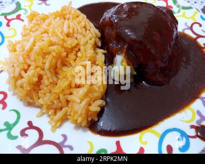 Tipico piatto messicano, mole rossa su un pezzo di pollo con riso rosso servito su un piatto colorato in una casa messicana orgogliosa delle sue tradizioni e della sua cultura Foto Stock