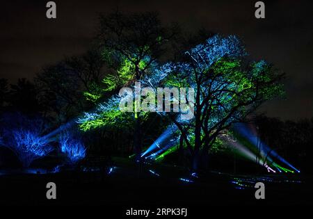 191227 -- CHICAGO, 27 dicembre 2019 Xinhua -- Trees are Illumination: Tree Lights at the Morton Arboretum a Lisle, Illinois, Stati Uniti, il 26 dicembre 2019. Foto di Joel Lerner/Xinhua U.S.-LISLE-THE MORTON ARBORETUM-TREE LIGHTS PUBLICATIONxNOTxINxCHN Foto Stock