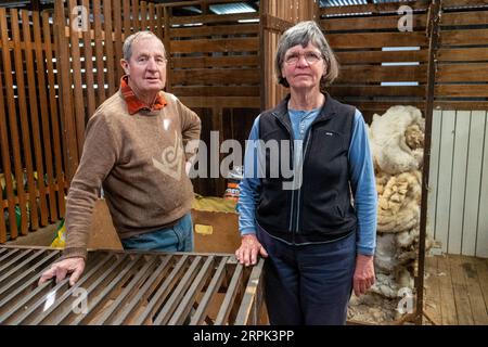 Roger e Beth White, nel woolshed nella loro proprietà a Ben Lomond. I Bianchi delle Tavole settentrionali del New South Wales sostengono le strategie di soccorso contro la siccità Foto Stock