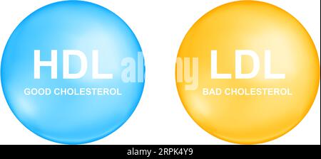 Tipi di colesterolo HDL e LDL con sfere blu e gialle. Concetto di colesterina buona e cattiva. Icone lipoproteiche ad alta e bassa densità isolate su sfondo bianco. Infografica medica Illustrazione Vettoriale