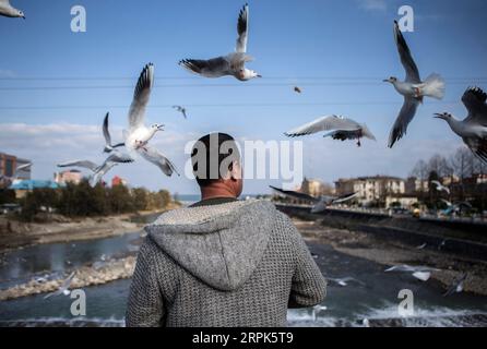 191231 -- PECHINO, 31 dicembre 2019 -- Un uomo nutre uccelli migratori nella città di Tonekabon, Iran settentrionale, 29 dicembre 2019. Foto di /Xinhua XINHUA FOTO DEL GIORNO AhmadxHalabisaz PUBLICATIONxNOTxINxCHN Foto Stock