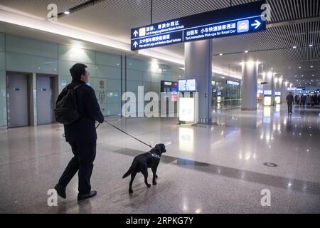 200110 -- CHANGSHA, 10 gennaio 2020 -- Un cane da sniffer e il suo allenatore Wang Haibo camminano verso l'area di controllo bagagli nella sala degli arrivi internazionali dell'aeroporto internazionale Changsha Huanghua di Changsha, nella provincia di Hunan della Cina centrale, 10 gennaio 2020. Per migliorare l'efficienza del controllo bagagli, i cani da sniffer sono stati messi in uso in aeroporto durante la corsa di viaggio del Festival di Primavera per intercettare gli oggetti proibiti. CHINA-CHANGSHA-SPRING FESTIVAL-TRAVEL RUSH-SNIFFER DOG CN CHENXSIHAN PUBLICATIONXNOTXINXCHN Foto Stock