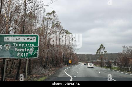 200110 -- SYDNEY, 10 gennaio 2020 -- foto scattata il 9 gennaio 2020 mostra il Bush sotto la pioggia a Taree, nel nuovo Galles del Sud, Australia. La pioggia ha contribuito ad alleviare la siccità che ha colpito questa regione. AUSTRALIA-BUSHFIRE-PIOGGIA BaixXuefei PUBLICATIONxNOTxINxCHN Foto Stock