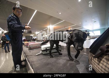 200110 -- CHANGSHA, 10 gennaio 2020 -- Un cane da sniffer controlla un bagaglio nell'area di controllo bagagli nella sala degli arrivi internazionali dell'Aeroporto Internazionale di Changsha Huanghua a Changsha, nella provincia di Hunan, nella Cina centrale, 10 gennaio 2020. Per migliorare l'efficienza del controllo bagagli, i cani da sniffer sono stati messi in uso in aeroporto durante la corsa di viaggio del Festival di Primavera per intercettare gli oggetti proibiti. CHINA-CHANGSHA-SPRING FESTIVAL-TRAVEL RUSH-SNIFFER DOG CN CHENXSIHAN PUBLICATIONXNOTXINXCHN Foto Stock