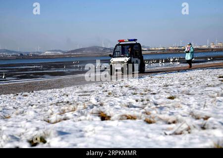 200114 -- RONGCHENG, 14 gennaio 2020 -- pattuglie Liu Zhibin alla stazione manageriale del lago Swan nella riserva naturale nazionale per i cigni Whooper nella città di Rongcheng, provincia dello Shandong della Cina orientale, 11 gennaio 2020. Vieni, vieni a mangiare Liu Zhibin e sua moglie Zhao Shuzhi chiamavano i cigni whooper mentre facevano fischi. Ogni anno, da novembre a marzo dell'anno successivo, questi cigni volano dalla Siberia alla città di Rongcheng, nella provincia dello Shandong della Cina orientale, per trascorrere l'inverno. Dopo essersi ritirato nel 2015, i Lius giunsero nella città di Rongcheng dalla città di Qiqihar, nella provincia di Heilongjiang nella Cina nordorientale, per riunirsi Foto Stock