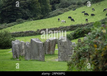 Megalithic Circle of Drombeg, - The Altar of the Druid-, Rosscarbery approssimativamente dall'anno 150 a.c., Irlanda, Regno Unito Foto Stock