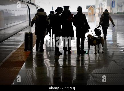 200114 -- ZHENGZHOU, 14 gennaio 2020 -- il cane guida Xiaoqi e il suo gestore aspettano un treno sulla piattaforma alla stazione ferroviaria di Zhengzhoudong a Zhengzhou, nella provincia centrale di Henan, Cina, 14 gennaio 2020. Il passeggero ipovedente soprannominato Jin avrebbe preso un treno proiettile con il suo cane guida Xiaoqi martedì alla stazione ferroviaria di Zhengzhoudong. Ha fatto una telefonata alla stazione ferroviaria per chiedere aiuto. Il personale della stazione ferroviaria ha immediatamente elaborato un piano per assicurarsi che il passeggero e il suo cane guida abbiano un viaggio comodo e sicuro senza barriere. CHINA-HENAN-ZHENGZHOU-GUIDE DOG-SPRING FESTIVAL T. Foto Stock