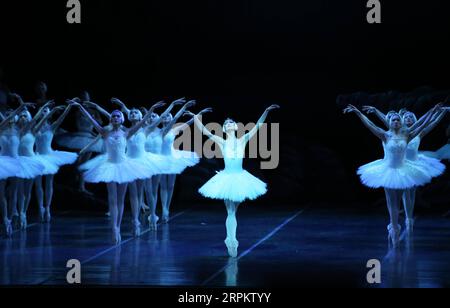 200118 -- NEW YORK, 18 gennaio 2020 -- ballerini di balletto si esibiscono sul palco durante il Grand Swan Lake al Lincoln Center di New York, negli Stati Uniti, 17 gennaio 2020. Il China's Shanghai Ballet ha portato il suo famoso Grand Swan Lake a New York il venerdì. U.S.-NEW YORK-BALLET-SWAN LAKE QINXLANG PUBLICATIONXNOTXINXCHN Foto Stock