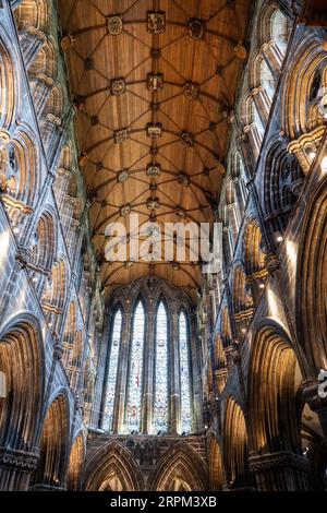 Glasgow, Scozia, Regno Unito - 11 maggio 2023 - interno della cattedrale di Glasgow, volta del coro in una chiesa gotica risalente al XII secolo. Foto Stock