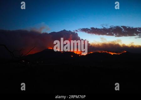 200201 -- CANBERRA, 1 febbraio 2020 -- foto scattata il 31 gennaio 2020 mostra un incendio nella Orroral Valley, a sud di Canberra, in Australia. Le autorità hanno dichiarato lo stato di emergenza dell'incendio nell'Australian Capital Territory ACT. Il primo ministro Andrew Barr ha annunciato lo stato di emergenza venerdì. Segna la prima volta che nel territorio è stato dichiarato lo stato di emergenza dai 2003 incendi boschivi che hanno ucciso quattro persone e distrutto quasi 500 edifici. Foto di /Xinhua AUSTRALIA-CANBERRA-BUSHFIRE-STATO DI EMERGENZA ChuxChen PUBLICATIONxNOTxINxCHN Foto Stock