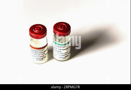 Alutard SQ allergia terapia immunitaria iniezione. 2 ampolle di farmaco allergico. Foto Stock