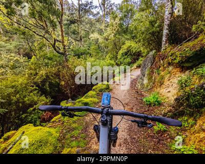 DERBY, AUSTRALIA, 24 SETTEMBRE 2022: Sentiero per ascia presso la popolare rete di sentieri per mountain bike Blue Derby in primavera a Derby, Tasmania Foto Stock