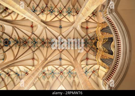 Vista verso l'alto dell'organo Gottfried Silbermann e della volta a soffitto in St Cattedrale di Maria, prospettiva, romanica, vista interna, galleria, Silbermann Foto Stock