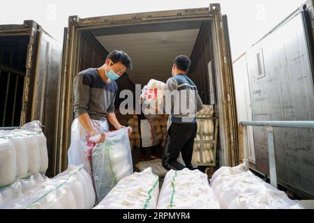 200219 -- CHONGQING, 19 febbraio 2020 -- i dipendenti caricano pacchi di argilla su un camion in una cooperativa vegetale nel distretto di Tongnan di Chongqing, nel sud-ovest della Cina, 18 febbraio 2020. Il distretto di Tongnan di Chongqing ha adottato grandi misure per garantire la fornitura di ortaggi sia online che offline nel quadro delle misure adottate per prevenire e controllare la nuova epidemia di coronavirus. Foto di /Xinhua CHINA-CHONGQING-VEGETABLE-SUPPLY CN HuangxWei PUBLICATIONxNOTxINxCHN Foto Stock