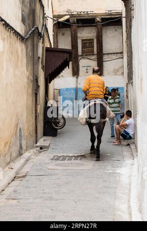 Un mulo utilizzato per il trasporto e la consegna di carichi pesanti nelle strette strade di Fez el Bali, la vecchia medina di Fez, in Marocco, Nord Africa. Foto Stock