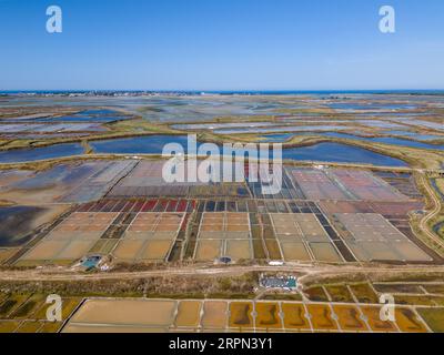 Foto aerea con drone delle paludi saline di Guerande in Bretagna, Francia. Foto Stock