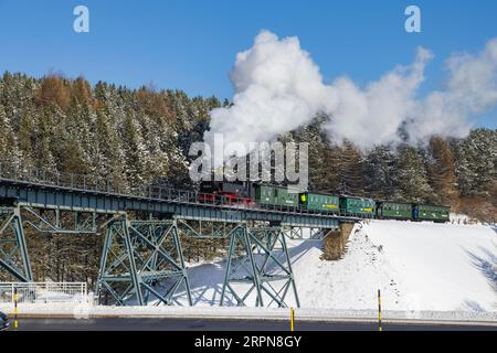 La ferrovia a scartamento ridotto Cranzahl-Kurort Oberwiesenthal è una ferrovia sassone a scartamento ridotto con scartamento di 750 mm nella parte superiore dei Monti ore. Inizia da Foto Stock