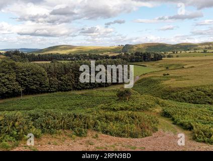 La pittoresca valle del fiume Breamish vicino a Wooler, nel Northumberland, ai margini delle Cheviot Hills. Foto Stock