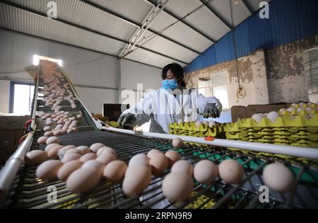 200225 -- JIAOZUO, 25 febbraio 2020 -- Un lavoratore confeziona le uova in un'azienda di prodotti agricoli nella contea di Wuzhi, provincia di Henan, Cina centrale, 25 febbraio 2020. Le autorità locali della contea di Wuzhi si sono impegnate a sostenere la ripresa della produzione delle aziende di allevamento e di allevamento avicolo, in modo da garantire l'approvvigionamento del mercato durante la lotta del paese contro la nuova epidemia di coronavirus. Foto di /Xinhua CHINA-HENAN-WUZHI-LIVESTOCK-POULTRY-PRODUCTION CN FengxXiaomin PUBLICATIONxNOTxINxCHN Foto Stock