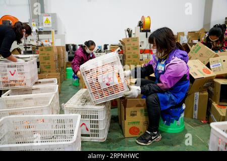 200229 -- CHONGQING, 29 febbraio 2020 -- i membri del personale confezionano frutta in un parco logistico nella contea di Xiushan, nella municipalità di Chongqing della Cina sud-occidentale, 27 febbraio 2020. Il parco logistico ha ripreso a funzionare non solo per garantire l'approvvigionamento locale di prodotti agricoli, ma anche per promuovere la vendita attraverso piattaforme di commercio elettronico nel mezzo della lotta contro la nuova epidemia di coronavirus. CHINA-CHONGQING-LOGISTICA-PRODOTTI AGRICOLI CN LIUXCHAN PUBLICATIONXNOTXINXCHN Foto Stock