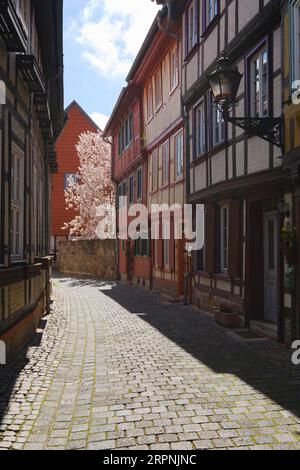 Rosenwinkel, vicolo in legno nella città vecchia, città bassa, Halberstadt, Monti Harz, Sassonia-Anhalt, Germania Foto Stock