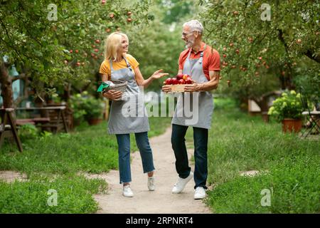 Sposi di agricoltori maturi che camminano nel frutteto con Crate of Apple Foto Stock