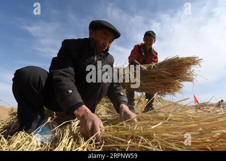200305 -- GULANG, 5 marzo 2020 -- le persone fanno barriere di sabbia a scacchiera di paglia nella contea di Gulang, provincia del Gansu della Cina nordoccidentale, 5 marzo 2020. La popolazione locale ha iniziato di recente a svolgere lavori primaverili contro la desertificazione. CHINA-GANSU-SPRING-DESERT CONTROL CN FANXPEISHEN PUBLICATIONXNOTXINXCHN Foto Stock
