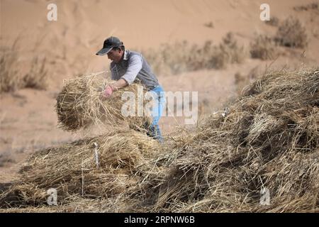 200305 -- GULANG, 5 marzo 2020 -- Un uomo crea barriere di sabbia a scacchiera di paglia nella contea di Gulang, nella provincia del Gansu della Cina nord-occidentale, 5 marzo 2020. La popolazione locale ha iniziato di recente a svolgere lavori primaverili contro la desertificazione. Foto di /Xinhua CHINA-GANSU-SPRING-DESERT CONTROL CN MaxXiping PUBLICATIONxNOTxINxCHN Foto Stock