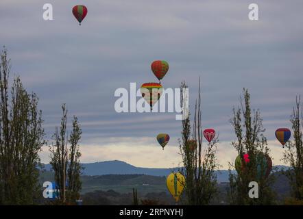 200307 -- CANBERRA, 7 marzo 2020 -- le mongolfiere sono viste durante il 2020 Canberra Balloon Spectacular a Canberra, Australia, 7 marzo 2020. Il Canberra Balloon Spectacular 2020 si svolge dal 7 al 15 marzo. Foto di /Xinhua AUSTRALIA-CANBERRA-BALLOON SPETTACOLARE ChuxChen PUBLICATIONxNOTxINxCHN Foto Stock