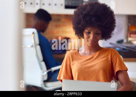 Giovane donna d'affari sorridente che lavora sul notebook alla scrivania in ufficio Foto Stock