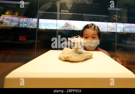 200313 -- SHANGHAI, 13 marzo 2020 -- Un bambino visita il Museo di storia naturale di Shanghai nella Shanghai orientale della Cina, 13 marzo 2020. Il Museo di storia naturale di Shanghai ha riaperto al pubblico da venerdì con misure adottate per prevenire la diffusione del nuovo coronavirus. CHINA-SHANGHAI-MUSEUM-RIAPRE CN FangxZhe PUBLICATIONxNOTxINxCHN Foto Stock