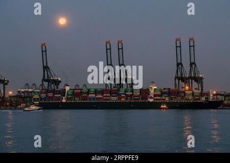 200317 -- SINGAPORE, 17 marzo 2020 Xinhua -- Una nave container ormeggia al Pasir Panjang Terminal di Singapore il 10 marzo 2020. Le esportazioni nazionali non petrolifere di Singapore NODX sono aumentate del 3% su base annua a febbraio, un'inversione rispetto al calo del 3,3% del mese precedente, Enterprise Singapore, un'agenzia governativa, ha annunciato martedì. Foto di Then Chih Wey/Xinhua SINGAPORE-NODX-INCREASE PUBLICATIONxNOTxINxCHN Foto Stock